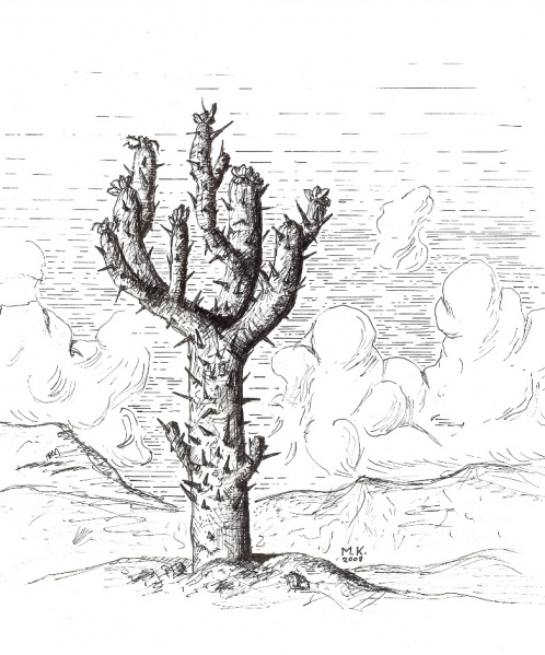 Datei:Chindakaktus klein.jpg